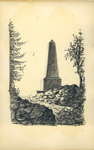 222096 Gezicht op de gedenknaald ter ere van Emil Friedrich, Fürst zu Bentheim-Tecklenburg (1765-1837) op de berg ...